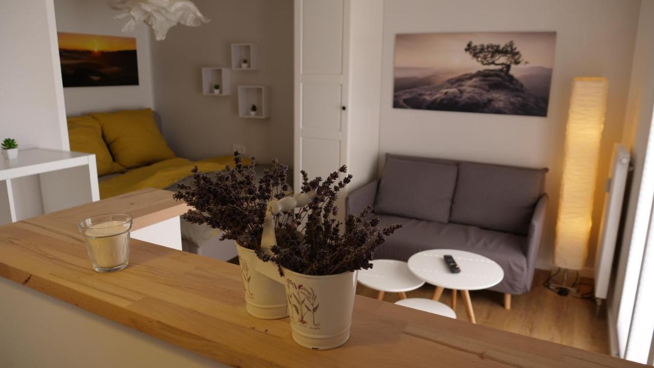 Ferienwohnung Gottleubapark Apartment Pirna Extérieur photo